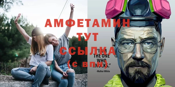 прущие грибы Пересвет