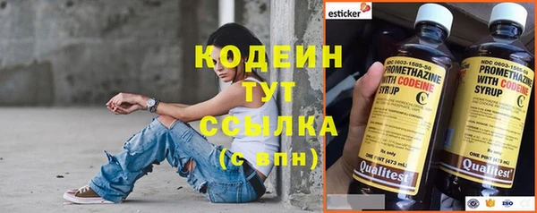 шишки Ладушкин